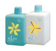 中性髮質 M1 + M2