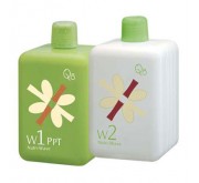 受損髮質 W1 + W2