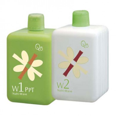 受損髮質 W1 + W2